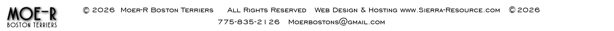 Moer- E Boston Terriers